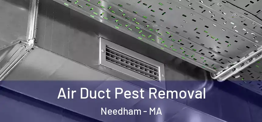  Air Duct Pest Removal Needham - MA