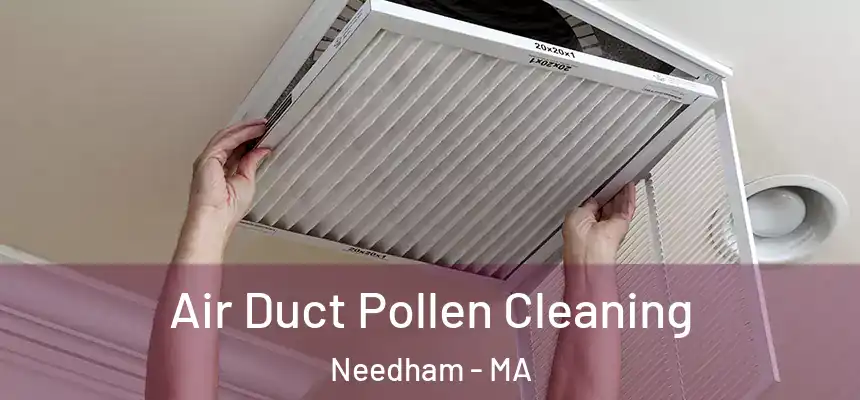 Air Duct Pollen Cleaning Needham - MA
