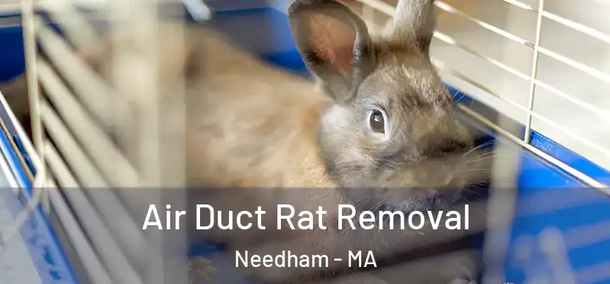  Air Duct Rat Removal Needham - MA