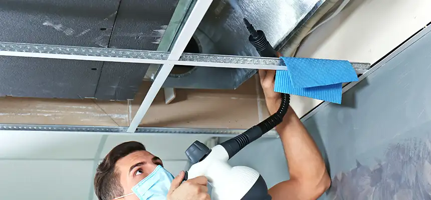 Our Air Duct Rodent Removal Services in Needham, MA