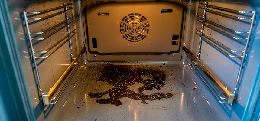 Our Dryer Vent Mold Cleaning Services in Needham, MA