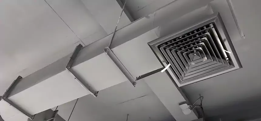 Our Pest Removal From Ducts Services in Needham, MA