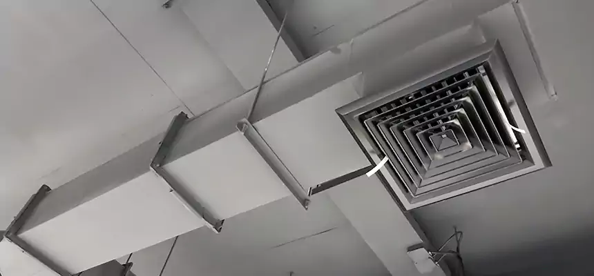 Our Rodent Droppings In Vents Services in Needham, MA