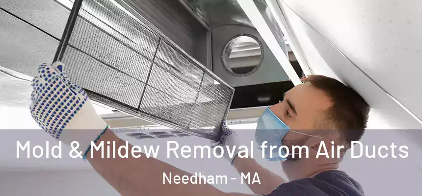  Mold & Mildew Removal from Air Ducts Needham - MA