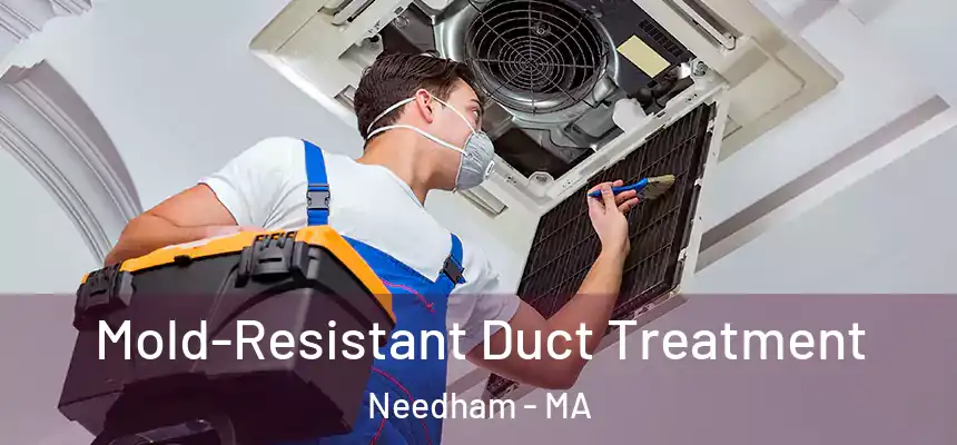  Mold-Resistant Duct Treatment Needham - MA