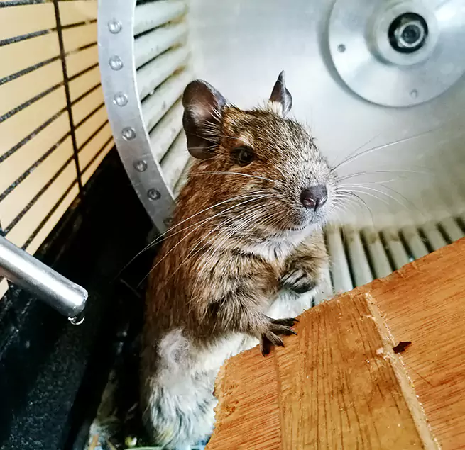 Why Homeowners & Businesses Trust Us Needham, MA