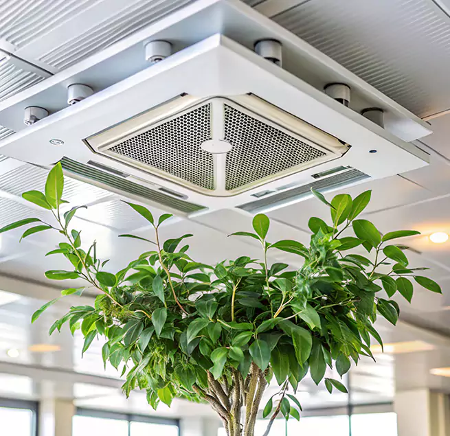 Why Homeowners & Businesses Trust Us in Needham, MA?