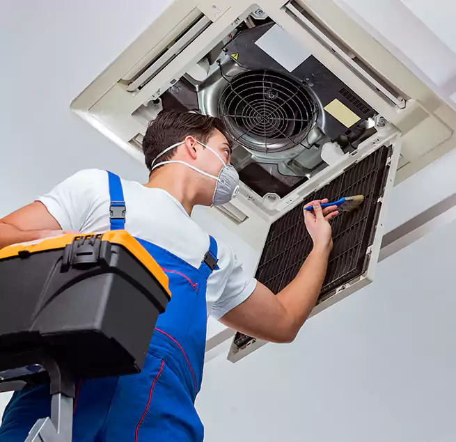 Why Homeowners & Businesses Trust Us in Needham, MA?