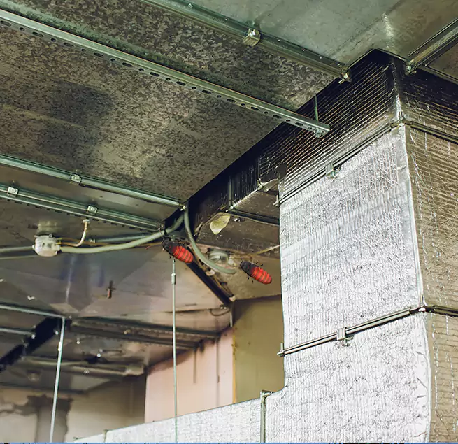 Why Homeowners & Businesses Trust Us Needham, MA?